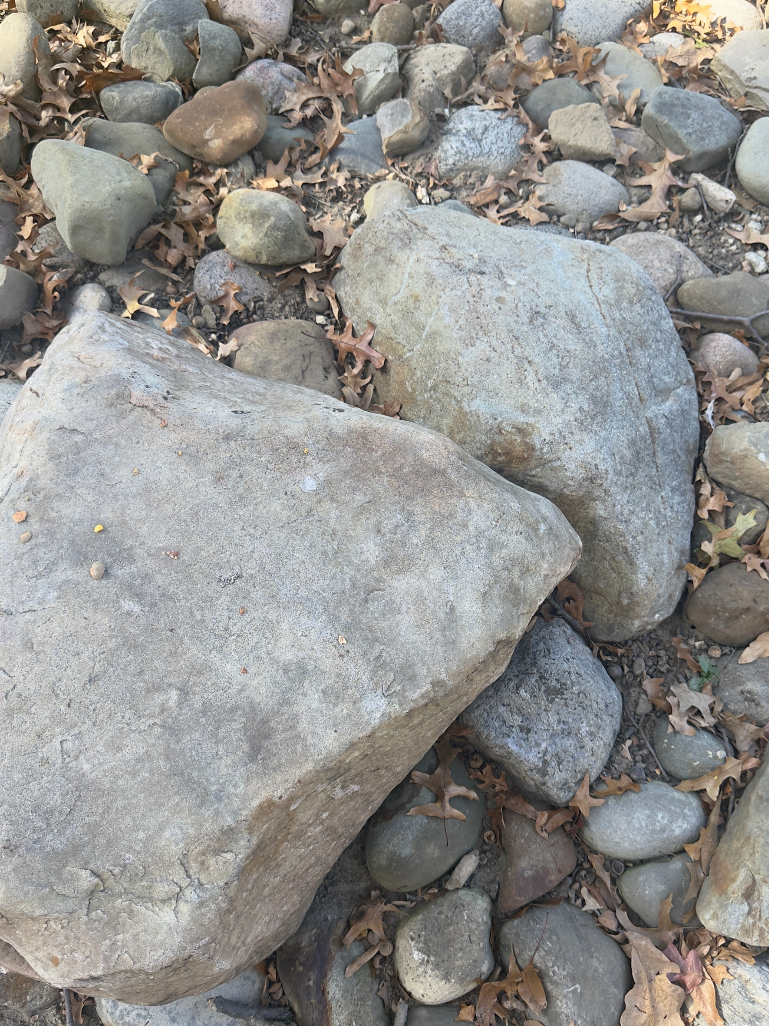Rocks on the ground