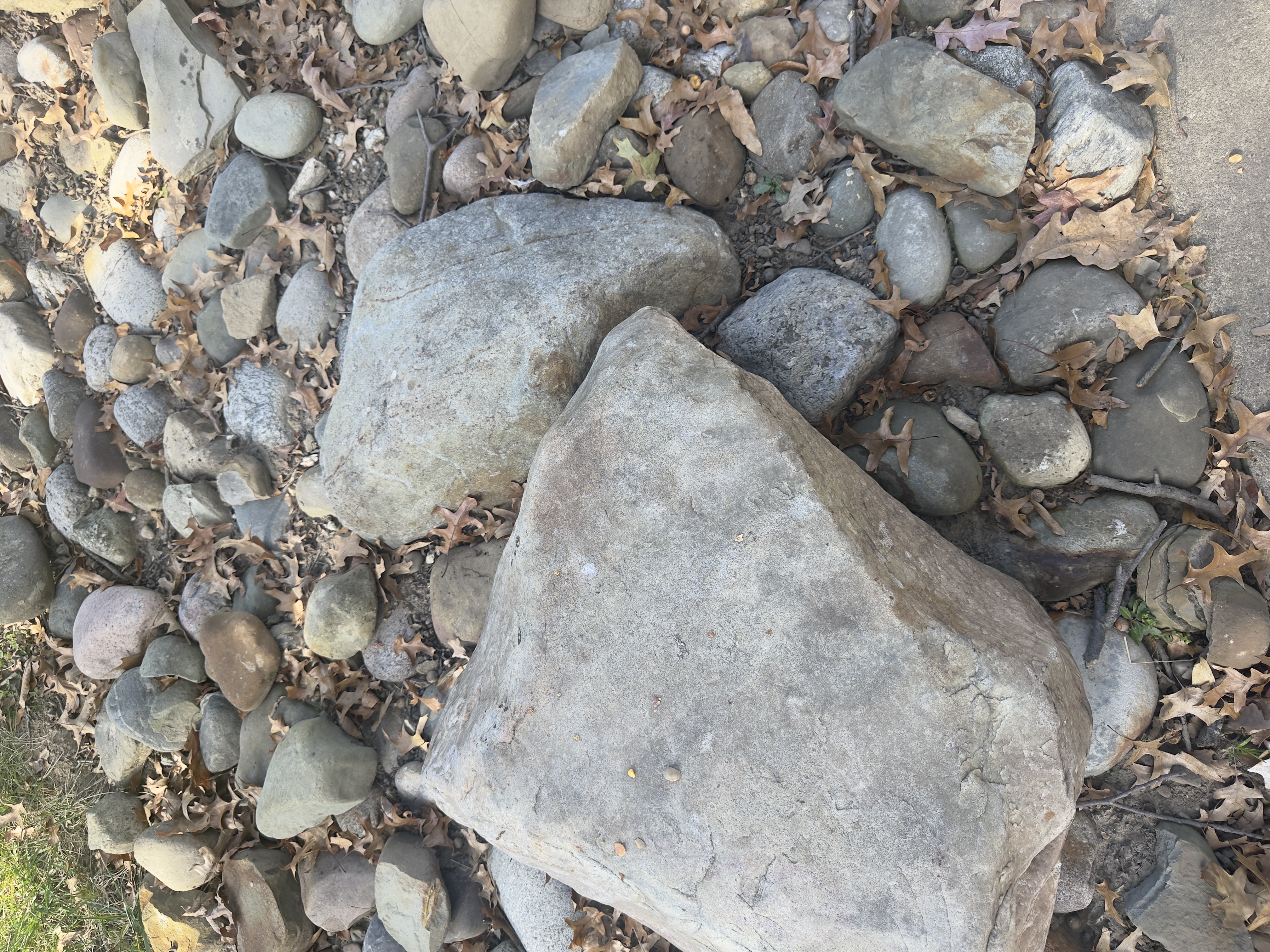 Rocks on the ground